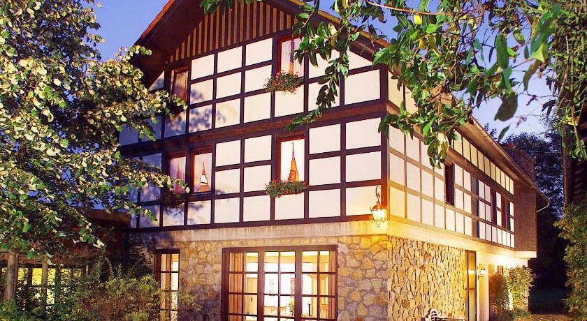 Landhotel Der Schwallenhof Бад-Дрибург Номер фото